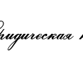 логотип 1-я юридическая компания