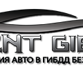 логотип Агент ГИБДД, ИП Агеев В.А.