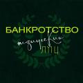 логотип Сардарян Давид Владимирович